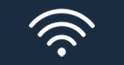 Secure network icon